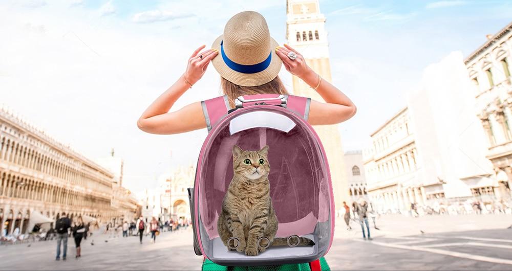 Bolsa de viagem grande para gato bolha