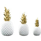 Ananas Decoracao contemporâneo